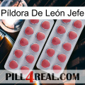 Píldora De León Jefe 19